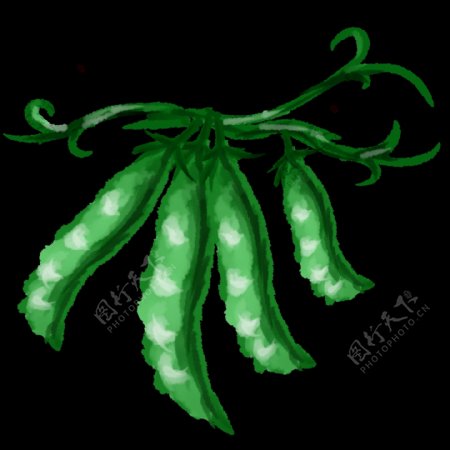 手绘油画风格蔬菜豌豆