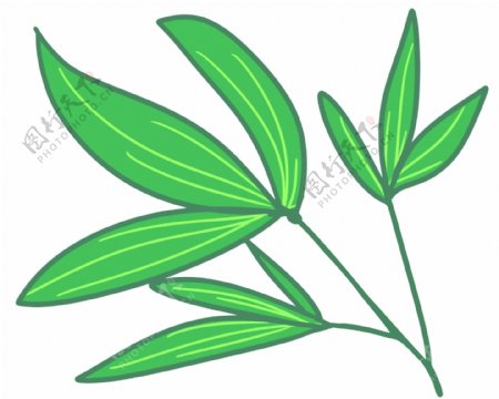 绿色端午节竹叶插画