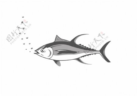 创意手绘灰色鱼类