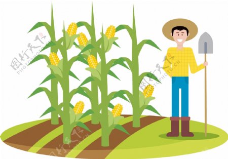 卡通矢量站在玉米地旁边手拿铁锹的农民