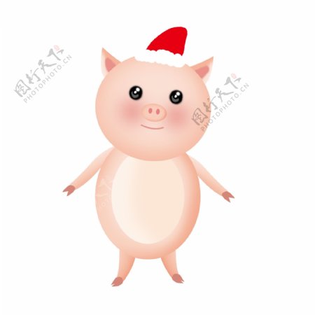 圣诞节圣诞老人猪手绘插画创意插图封面圣诞猪猪新年