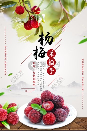 杨梅采摘季海报