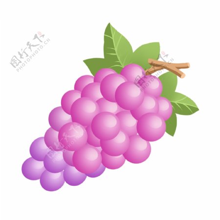 手绘夏季自然清新水果紫色葡萄免抠png