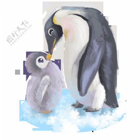 动物母亲和孩子企鹅母子手绘卡通可爱