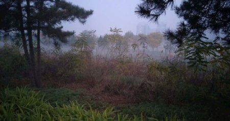 雾境