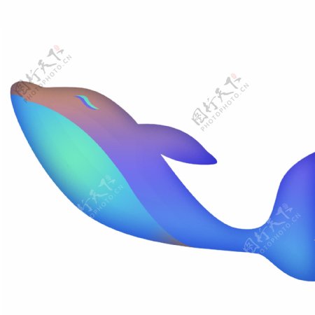美丽蓝色鲸鱼装饰元素