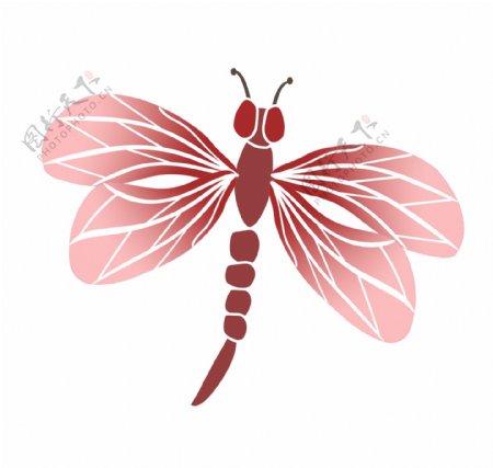 红色蜻蜓装饰