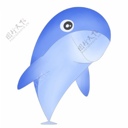 蓝色海豚生物