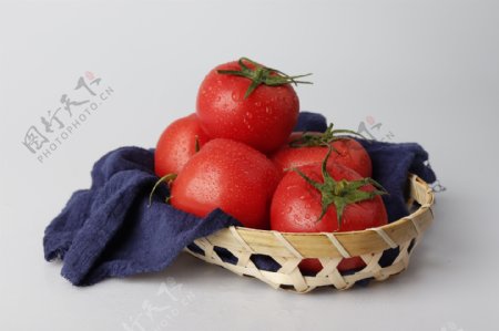 一篮子番茄西红柿白底图
