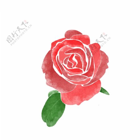 水彩红色玫瑰鲜花表白日图案元素