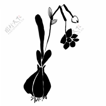 黑色植物花卉插图