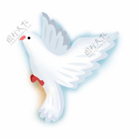 白色鸽子动物卡通透明素材