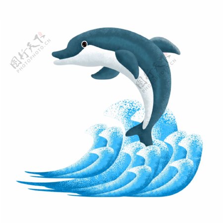 蓝色的海豚