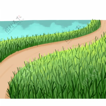 绿色的植物山路