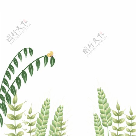 清新夏至绿叶麦穗图案元素