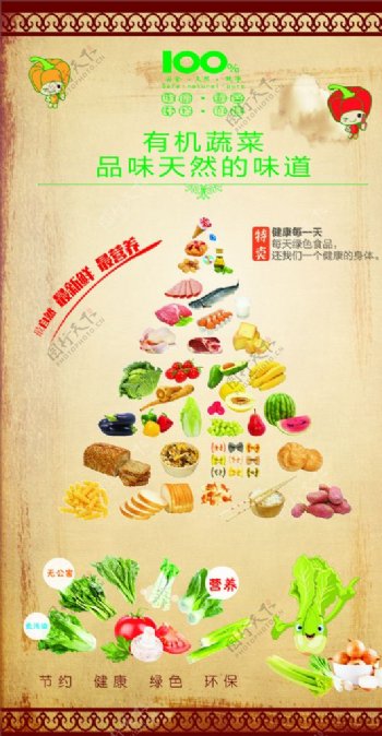 有机蔬菜绿色食品海报