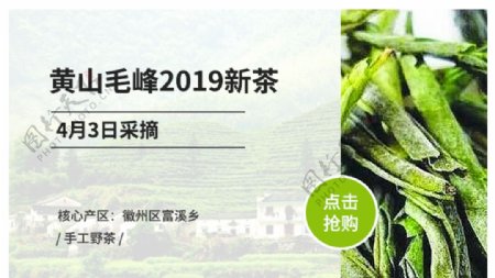 茶叶轮播图网页广告banner
