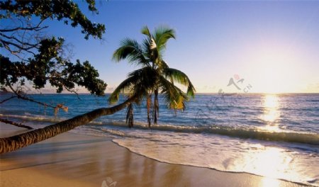 热带岛屿海滩自然风光
