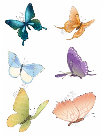 手绘飞舞的五彩蝴蝶套图