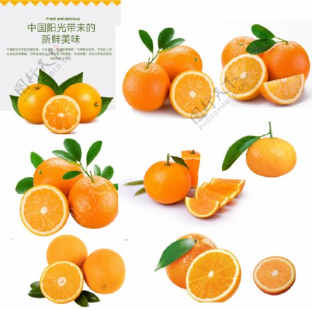 柑橘橘子橙子柠檬橘柑