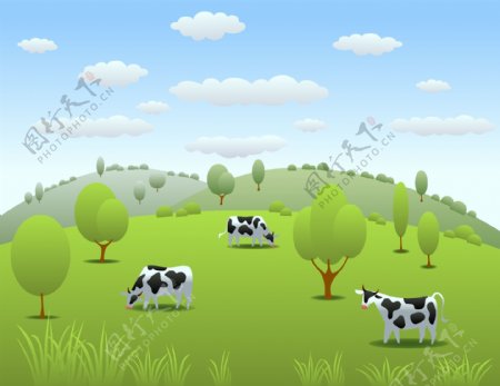奶牛吃草牛奶牧场天空云朵素材