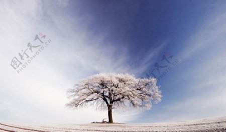 冬天学美景摄影