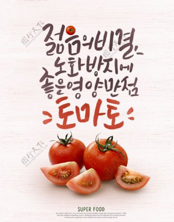 高级食材西红柿手绘涂鸦传单海报