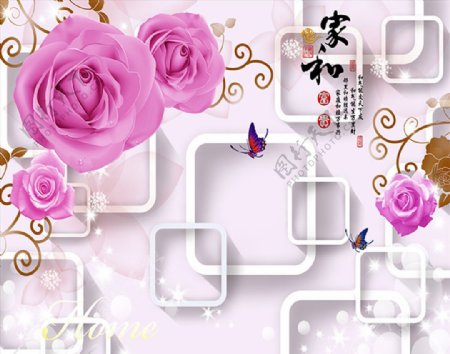 粉色玫瑰方框家和背景墙
