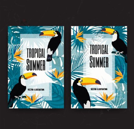 热带夏季托哥巨嘴鸟