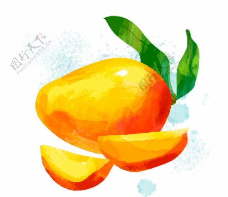 手绘芒果橘黄色水果