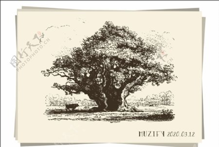 巨树手绘稿