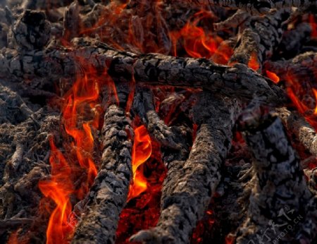 燃烧的木头红色火焰