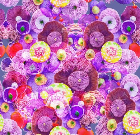 蘑菇背景彩色蘑菇数码印花