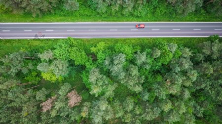 绿色环绕的公路大道