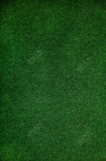 绿色草坪纹理球场俯视图背景