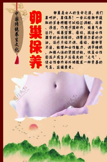 中华传统养生文化之卵巢保养