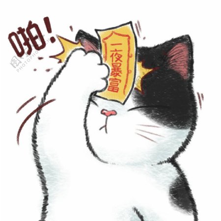 可爱的猫猫手绘动物卡通