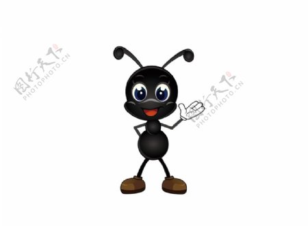 黑色螞蟻