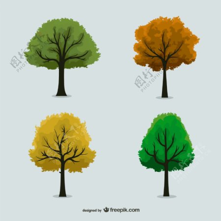季节性树