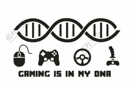 游戏DNA