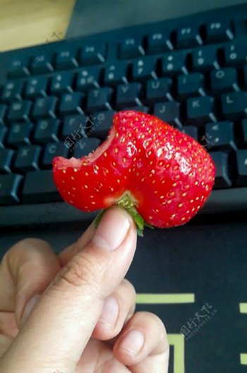 生活照草莓