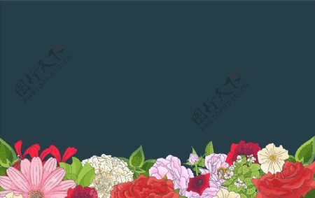 花卉图框