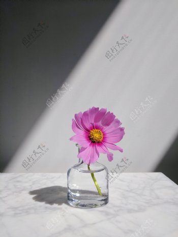 一束光大理石面玻璃瓶一朵花