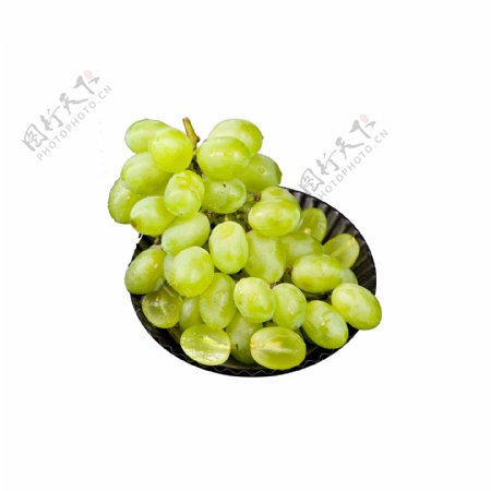 葡萄素材绿色葡萄绿色食物