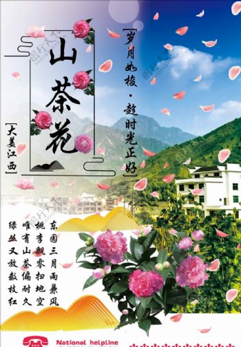 江西山茶花宣传海报