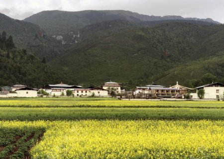 纳帕海旁藏族村庄