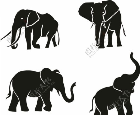 大象卡通图案