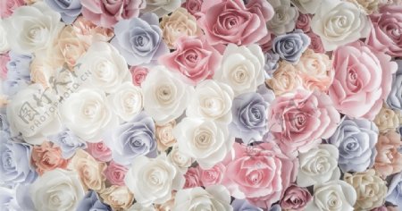 浅颜色的玫瑰花瓣组成浪漫淡雅美