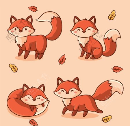 可爱小狐狸