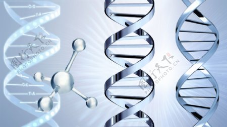 DNA基因链分子图片